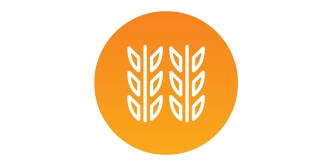 icon of wheat
