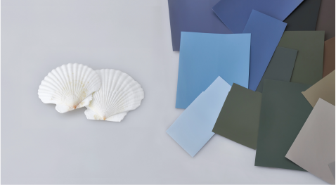 Películas arquitectónicas de colores junto a conchas de vieira.
