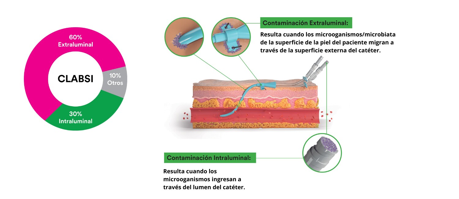 Image Alt Text
